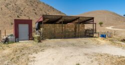 Paso Robles Vineyard For Sale w/ Pomegranates – Highlands District