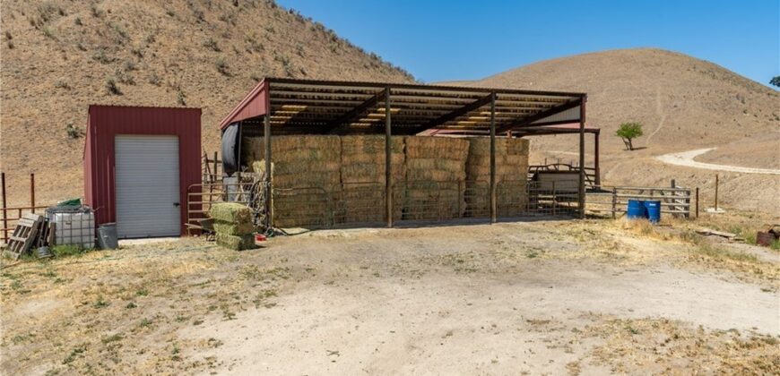 Paso Robles Vineyard For Sale w/ Pomegranates – Highlands District
