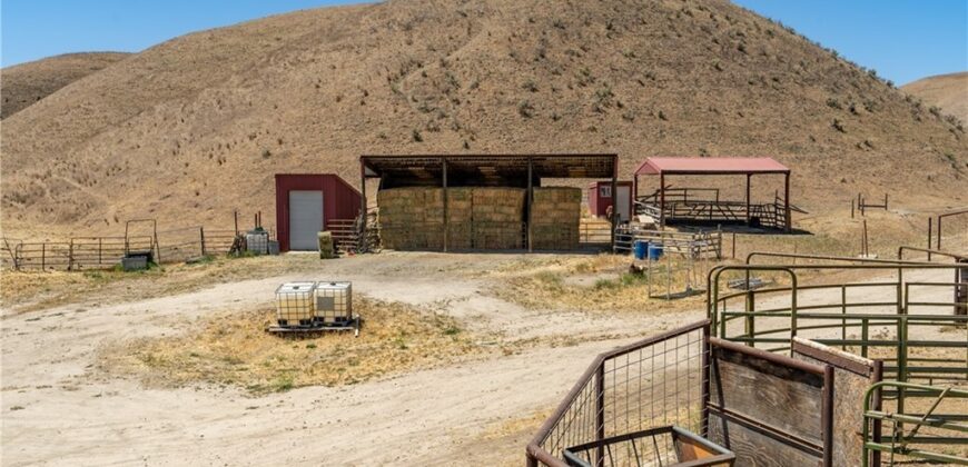 Paso Robles Vineyard For Sale w/ Pomegranates – Highlands District