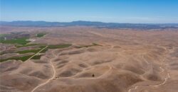 Paso Robles Vineyard For Sale w/ Pomegranates – Highlands District