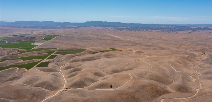 Paso Robles Vineyard For Sale w/ Pomegranates – Highlands District