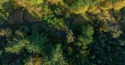 Stunning Farm set on 43 acres, plantable acreage