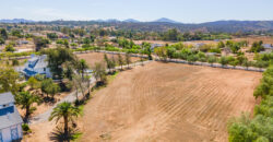 Victorian Vineyard For Sale