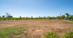 Victorian Vineyard For Sale