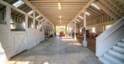 Victorian Vineyard For Sale