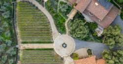 Legacy Estate On Nearly 4 Acres, Home to Peppertree Canyon Winery