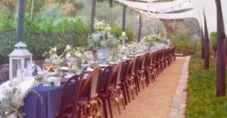 Legacy Estate On Nearly 4 Acres, Home to Peppertree Canyon Winery