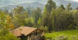 Legacy Estate On Nearly 4 Acres, Home to Peppertree Canyon Winery