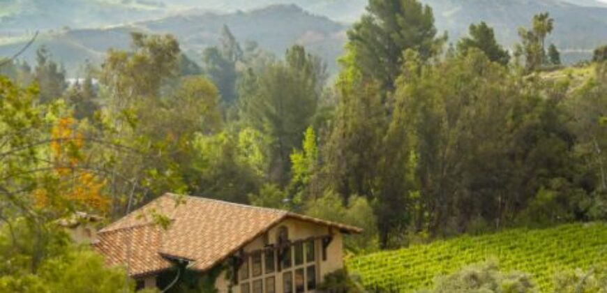 Legacy Estate On Nearly 4 Acres, Home to Peppertree Canyon Winery