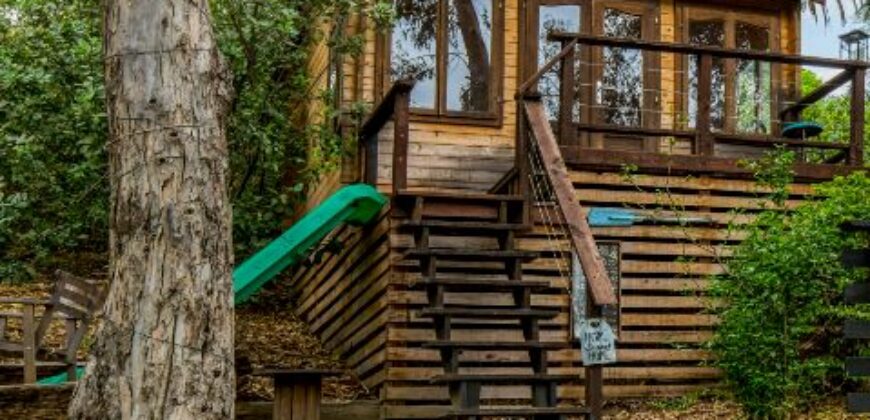 Legacy Estate On Nearly 4 Acres, Home to Peppertree Canyon Winery