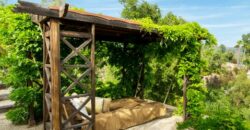 Legacy Estate On Nearly 4 Acres, Home to Peppertree Canyon Winery