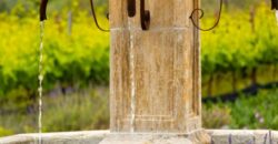 Legacy Estate On Nearly 4 Acres, Home to Peppertree Canyon Winery