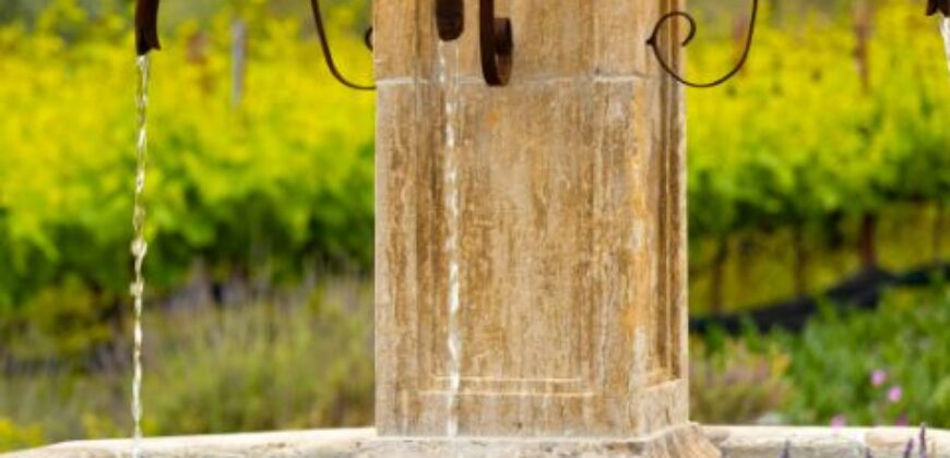 Legacy Estate On Nearly 4 Acres, Home to Peppertree Canyon Winery