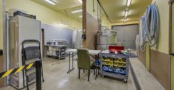 Gabriola Island Cidery and Orchard