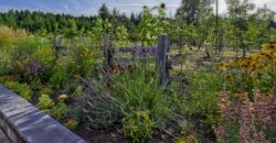 Gabriola Island Cidery and Orchard