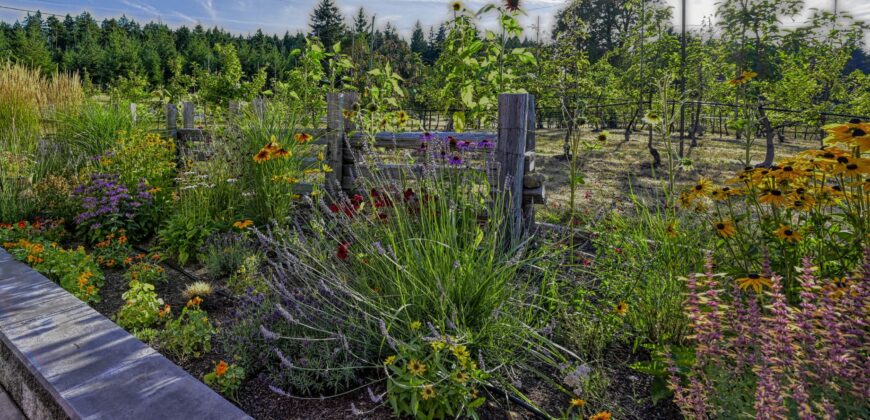 Gabriola Island Cidery and Orchard