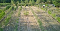 Gabriola Island Cidery and Orchard