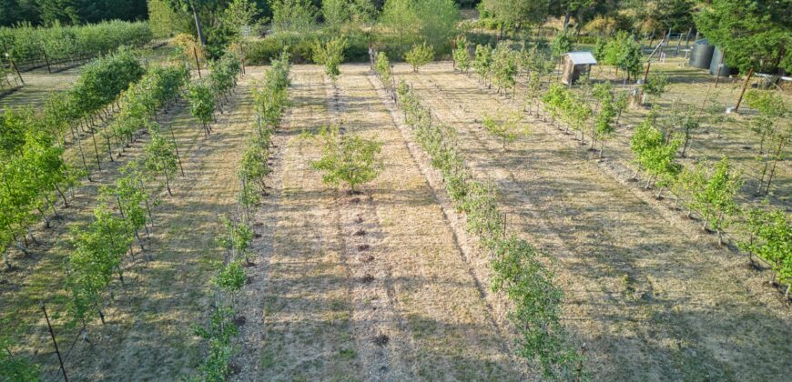 Gabriola Island Cidery and Orchard