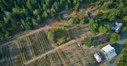 Gabriola Island Cidery and Orchard