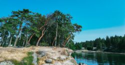 Gabriola Island Cidery and Orchard