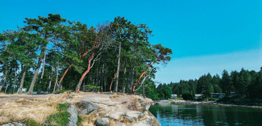 Gabriola Island Cidery and Orchard
