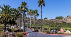 Sunshine Mountain Winery and Estate Home