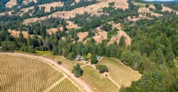 Romani Vineyard