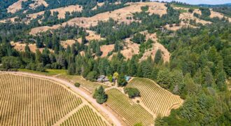 Romani Vineyard
